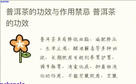 普洱茶养生知识妙用篇：简述普洱茶的养生功效及pdf