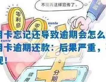 信用卡逾期还款的严重影响：受损、罚息累积以及如何避免