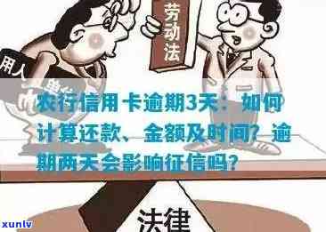 新农行信用卡逾期罚息计算策略与明细解析，助您轻松规划还款计划