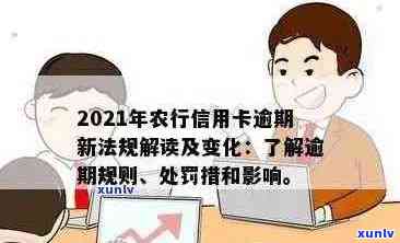 新农行信用卡逾期罚息计算策略与明细解析，助您轻松规划还款计划