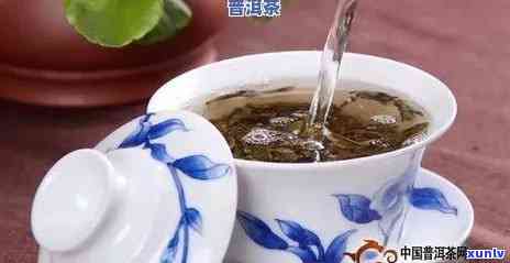 普洱茶可以用饮水机泡吗-普洱茶可以用饮水机泡吗怎么泡