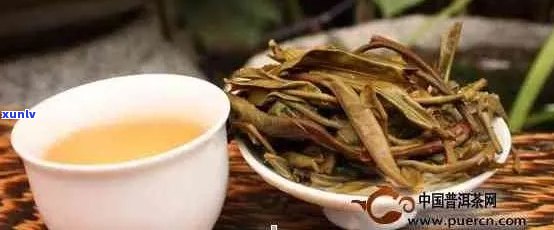 普洱茶一口料什么意思？普洱茶一口料和纯料的区别是什么？