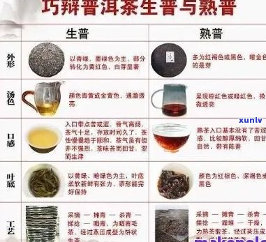 那些普洱茶是一口料