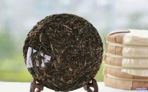 那些普洱茶是一口料