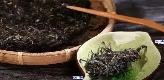 三高人群喝普洱生茶还是熟茶：效果与适宜程度分析