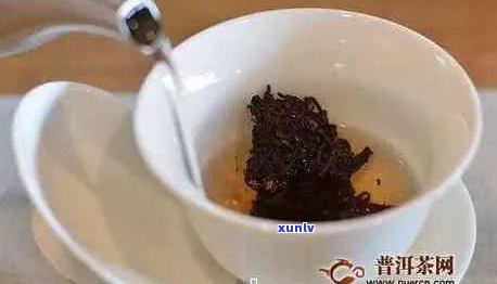 普洱茶泡一整晚的科学依据与注意事项：能否保持品质及健影响解析