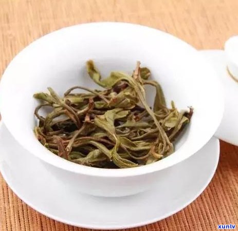 古树纯料普洱茶：生普与熟普的全面对比解析，助您轻松辨识品质高低