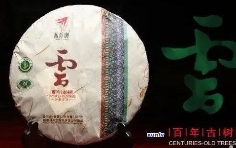 云璟坊普洱茶口感及品质如何，亲身体验告诉你