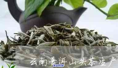 普洱茶山头茶能买吗