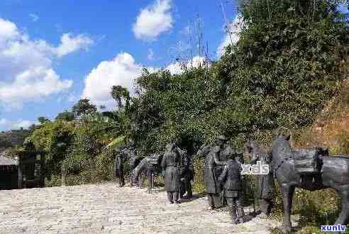 普洱茶马古道：历、文化、旅游与茶产业的全面探索