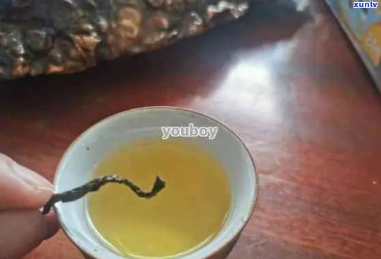 熟普洱茶底有沉淀物