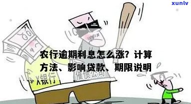 农行逾期利息多少：农业银行逾期贷款利息计算 *** 及影响。