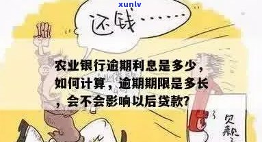 农行逾期利息多少：农业银行逾期贷款利息计算 *** 及影响。