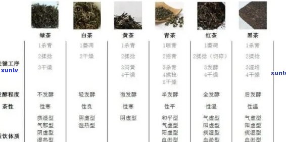 茶叶对颈椎病患者的影响及适宜品种