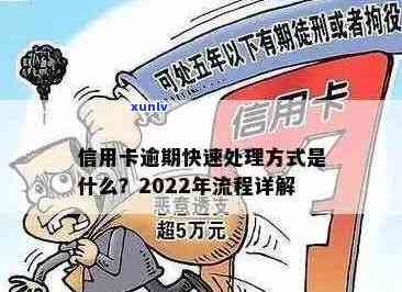 2022年信用卡欠款逾期处理新法规：后果、应对及影响