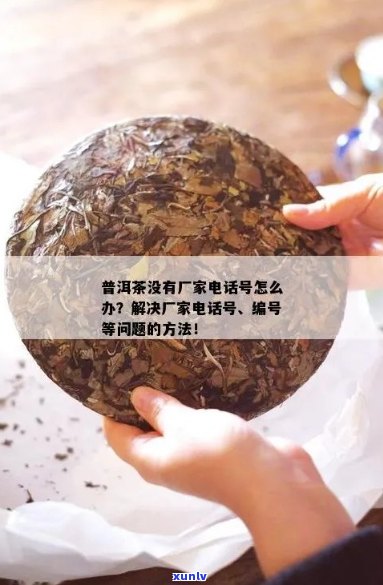 同号普洱茶哪一年不生产的：请提供相关信息以便了解详情。