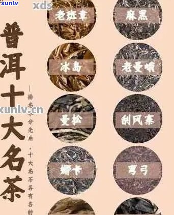 探究名字带石字的普洱茶：品种、产地、口感及选购指南