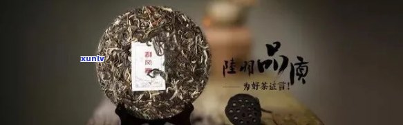 普洱茶的无味之味：探索其背后的秘密与魅力