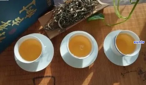 新多美普洱茶：品质越，口感独特，值得品鉴！