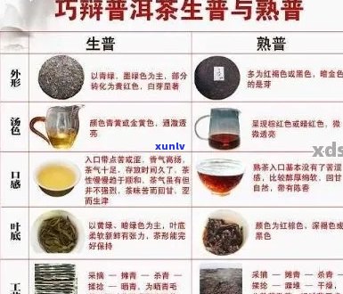 普洱茶的七大魅力：品茗技巧、种类区别、泡法指导、功效作用与适宜人群详解