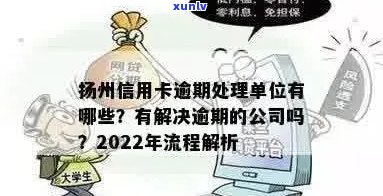 扬州信用卡逾期处理与咨询热线：解决您的信用卡相关问题