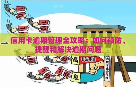 新 逾期未换卡的风险及应对策略：我将接收到提醒吗？