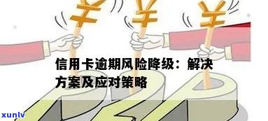 逾期还款信用卡的风险与解决策略：如何避免逾期、降低利息和恢复信用？