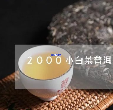 小白菜普洱茶：清香幽雅，健之选