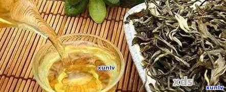 普洱茶小白菜：一种特殊的茶叶品种及其品饮 *** 解析