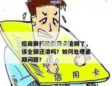 招商银行信用卡逾期还款问题：全额还清还是部分偿还？探讨与分析