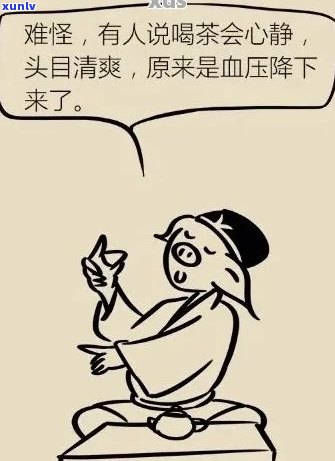 新普洱茶与血压的关系：低血压患者能否饮用？