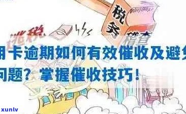 新 普洱茶包装规定：文字、材质和标签的明确要求与指南