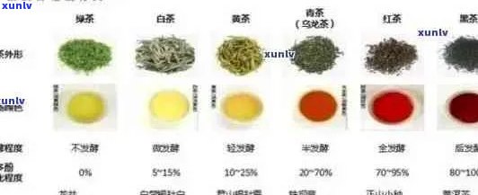 铜雀台茶叶多少钱一斤：探究铜雀台茶叶价格及市场情况