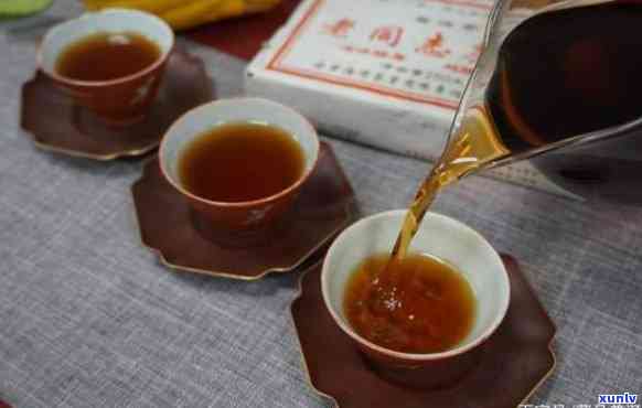 普洱熟沱茶：一份详细的泡茶指南，让你体验古树韵味与陈香醇厚