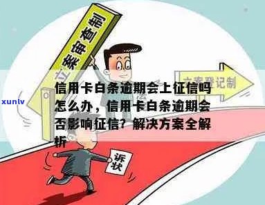 白条逾期是否会影响信用卡申请及办理？全面解答与建议