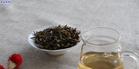 一天内如何充分冲泡普洱茶？探究泡茶时间与水的关键因素