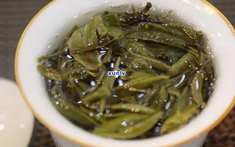 一天内如何充分冲泡普洱茶？探究泡茶时间与水的关键因素