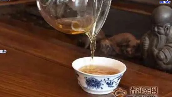 探究普洱茶冲泡比例：一泡需要多少毫升水？