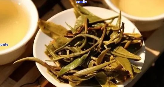 云南景迈糯干普洱茶：品种特点、 *** 工艺、品鉴 *** 及适合人群全方位解析