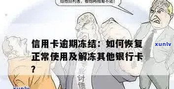 瑞聘号哥德堡普洱茶全系列价格查询，包括产地、口感、年份等详细信息