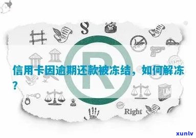 瑞聘号哥德堡普洱茶全系列价格查询，包括产地、口感、年份等详细信息