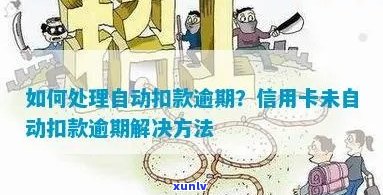 全面了解一克10元普洱茶的品种、品质、泡法与收藏价值，助您轻松挑选和品鉴