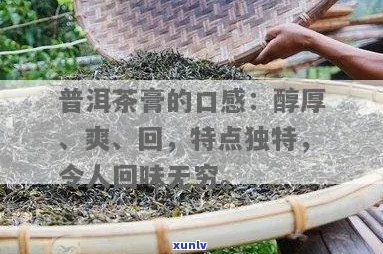 普洱茶膏口感特点解析：如何评价其醇厚、回、爽等口感？