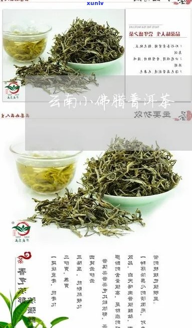 昆明小佛腊茶业：品质越、历悠久的茶叶企业全方位解析