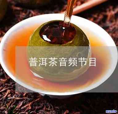 请喝一杯普洱茶伴奏mp3免费