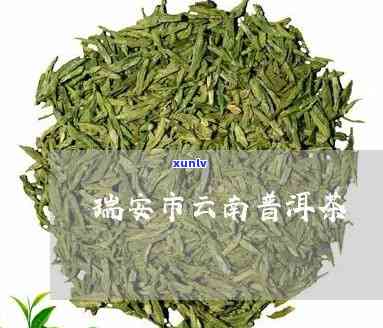 南市福安普洱茶