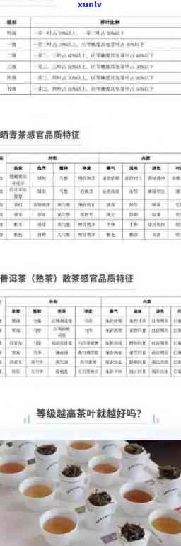 全面了解八马普洱茶的价格表：从不同年份、档次到品鉴等级的详细解析