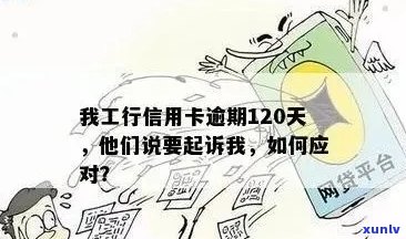 鹏程普洱茶品质、口感、功效及泡法全方位解析，让您全面了解普洱茶的魅力