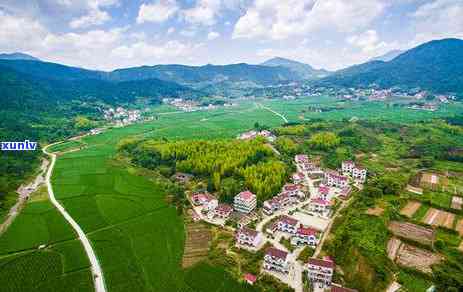 分水岭酒档次分析：了解其价格区间、特色产品及适合的用餐场景