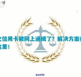 欠信用卡80万被网上通缉了怎么办？